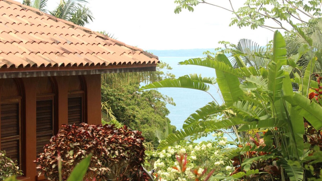Photo of Outdoor in Cabo Matapalo