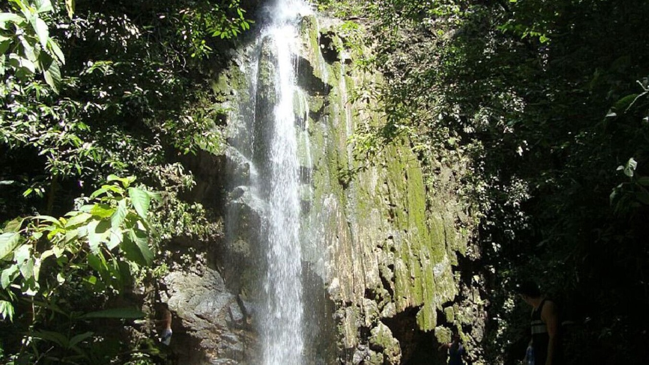 Photo of Others in Cabo Matapalo
