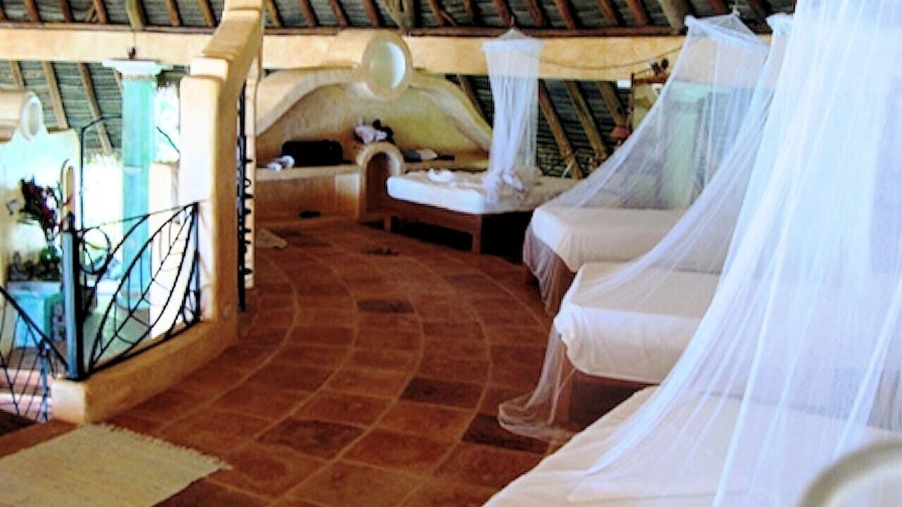 Photo of Others in Cabo Matapalo
