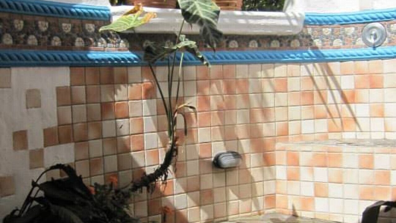Photo of Outdoor in Cabo Matapalo