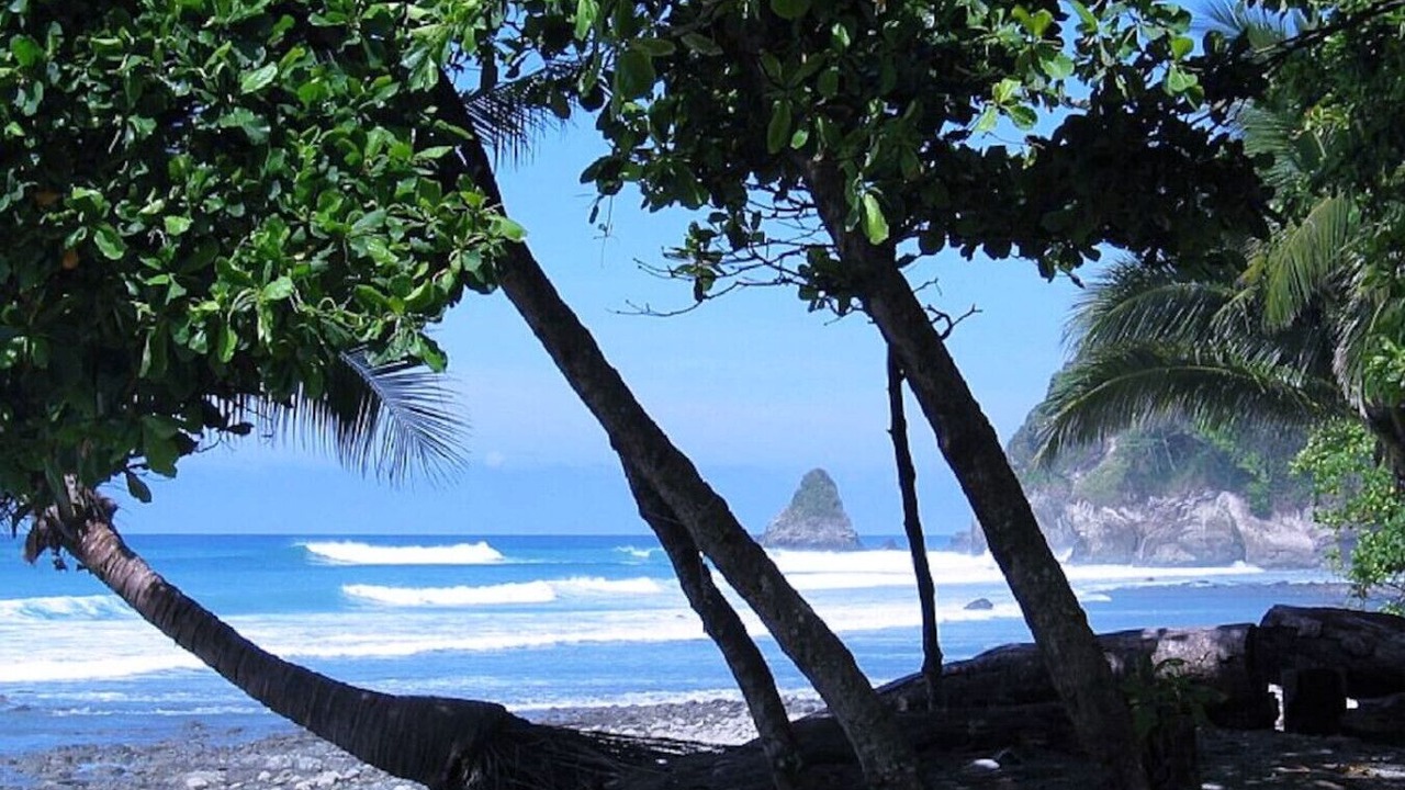 Photo of Others in Cabo Matapalo
