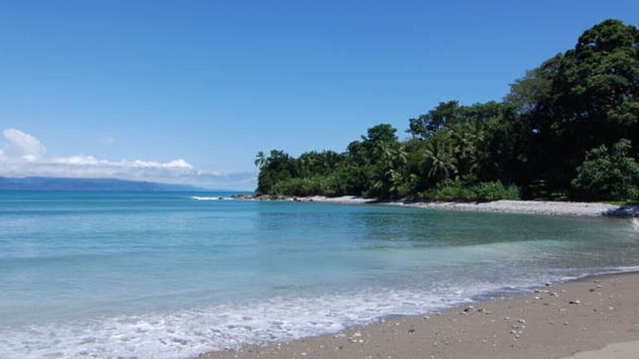 Photo of Others in Cabo Matapalo