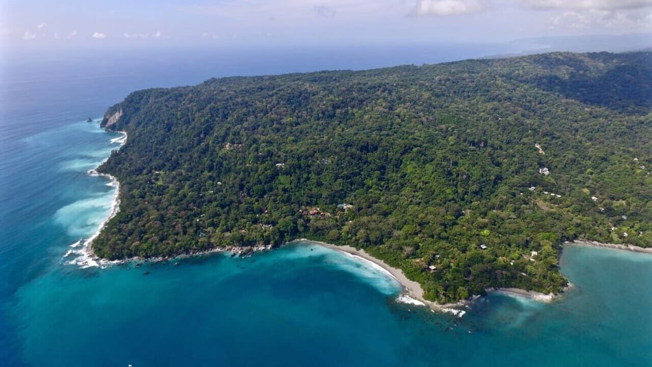 Photo of Outdoor in Cabo Matapalo