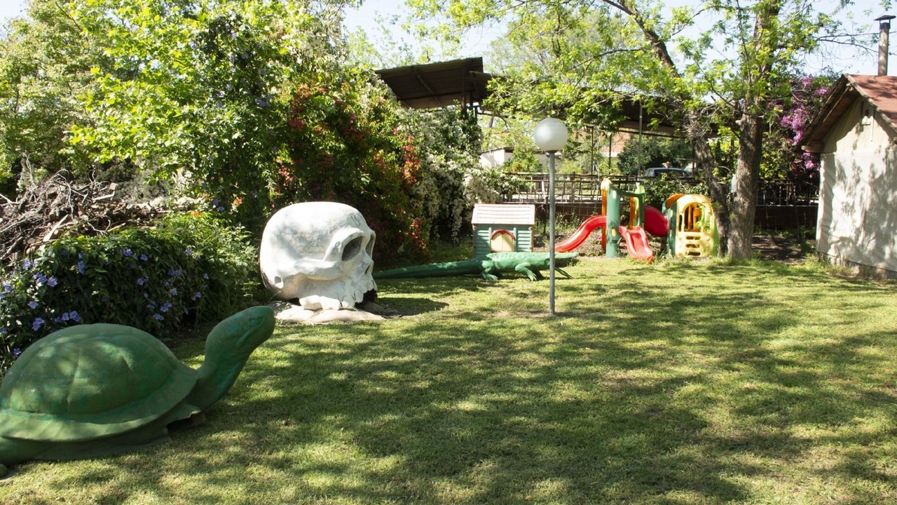 Photo of Outdoor in Beit Hillel