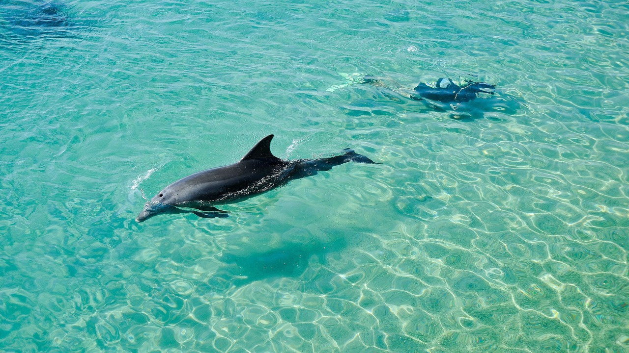 Photo of Outdoor in Eilat