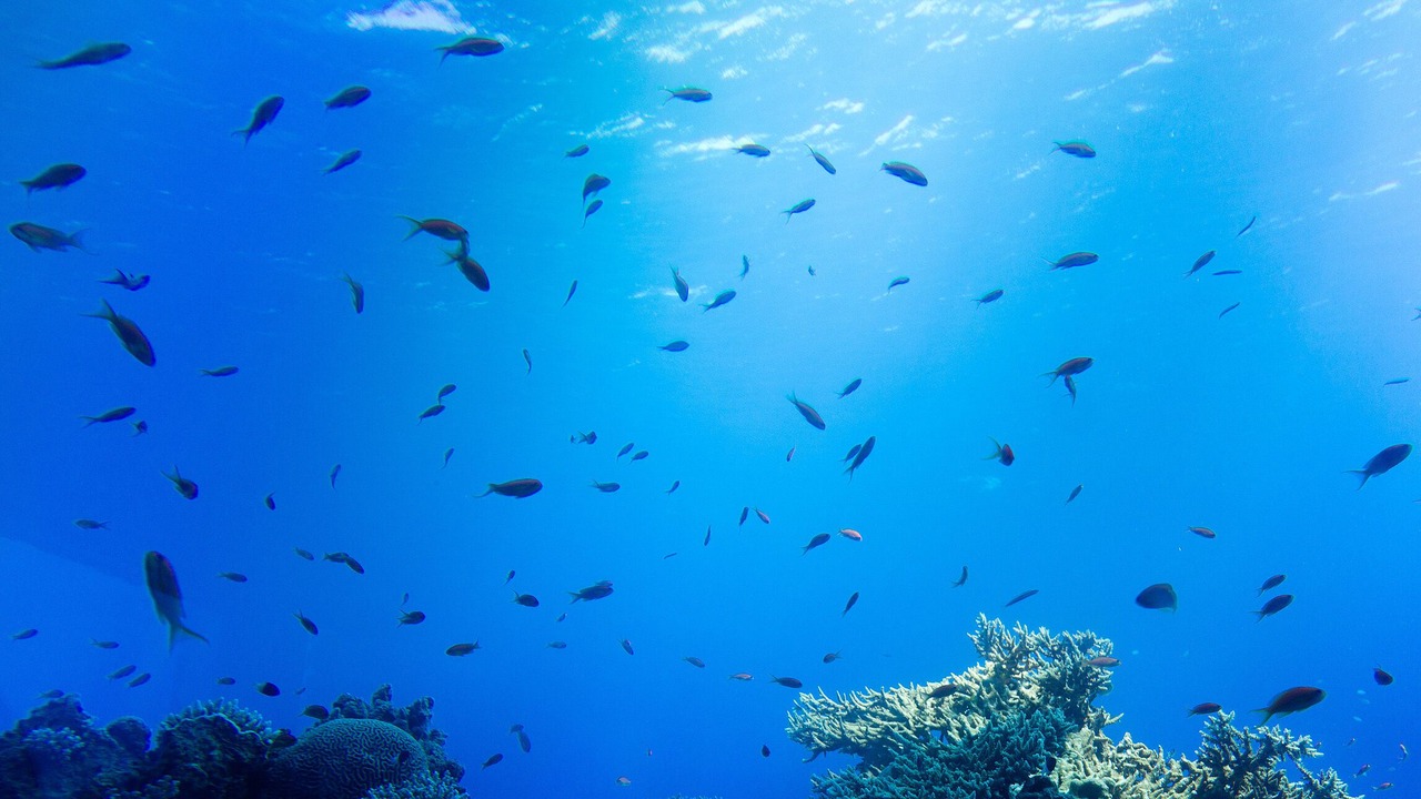 Photo of Outdoor in Eilat