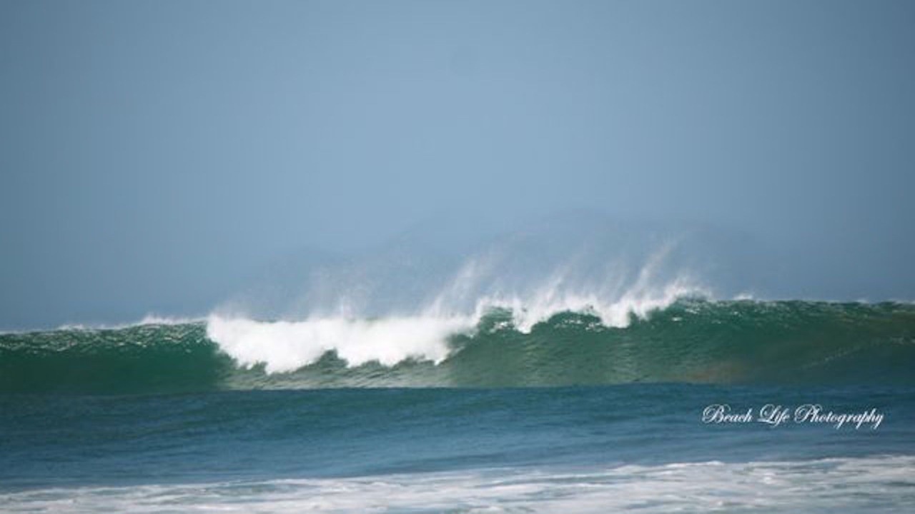 Photo of Others in Tamarindo