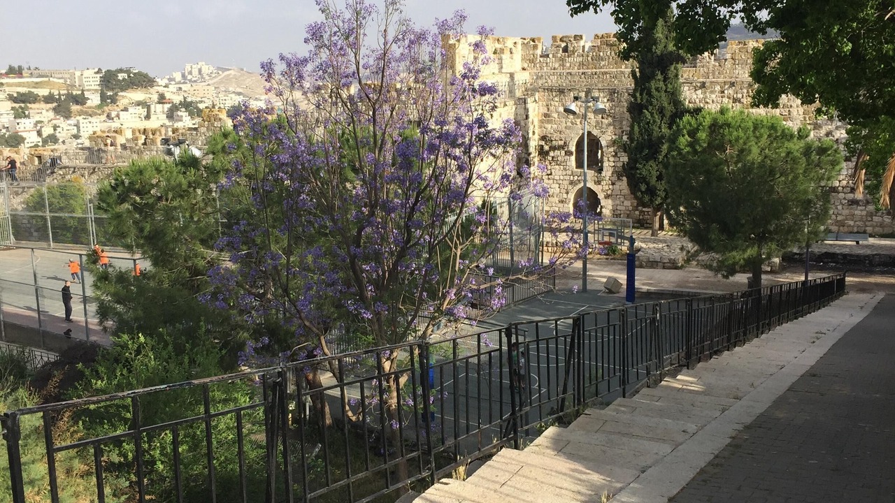 Photo of Others in Jerusalem City Centre