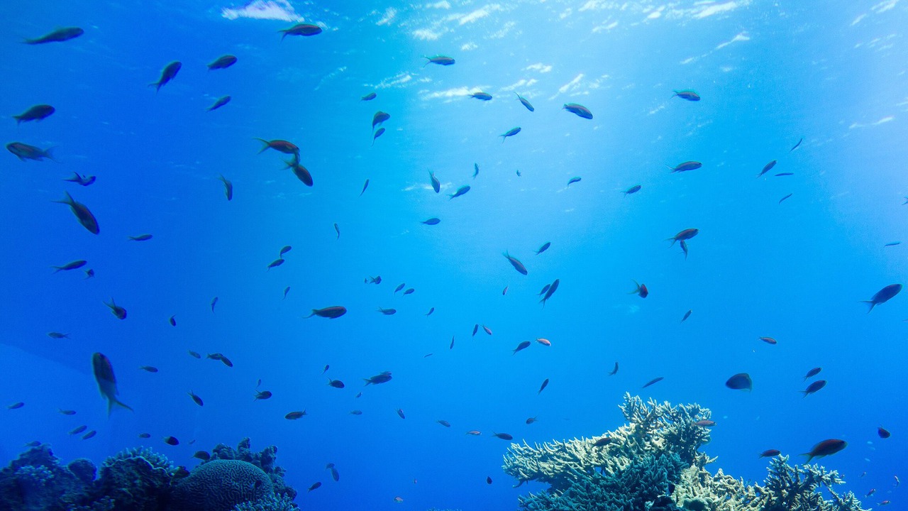 Photo of Outdoor in Eilat
