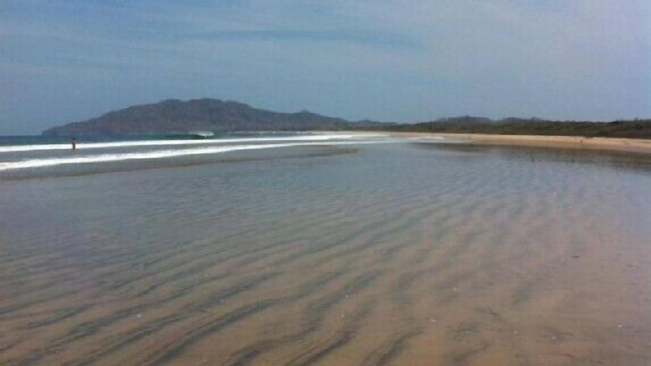 Photo of Others in Playa Grande