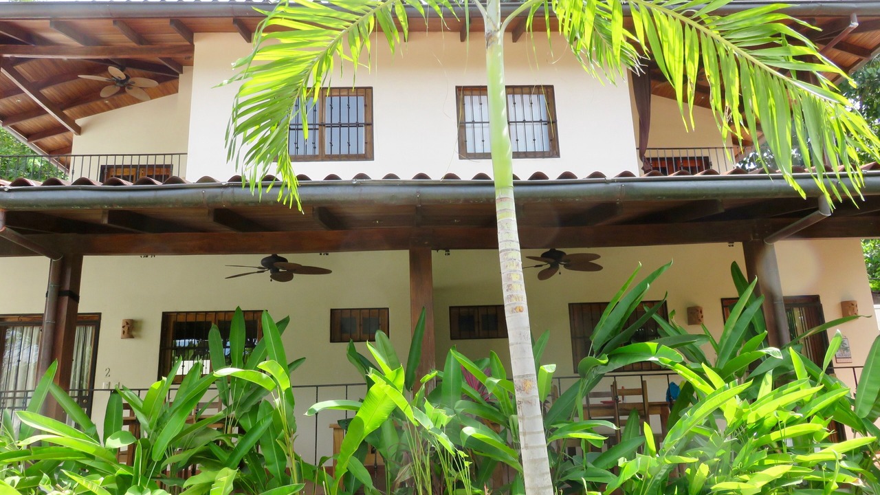 Photo of Outdoor in Playa Grande
