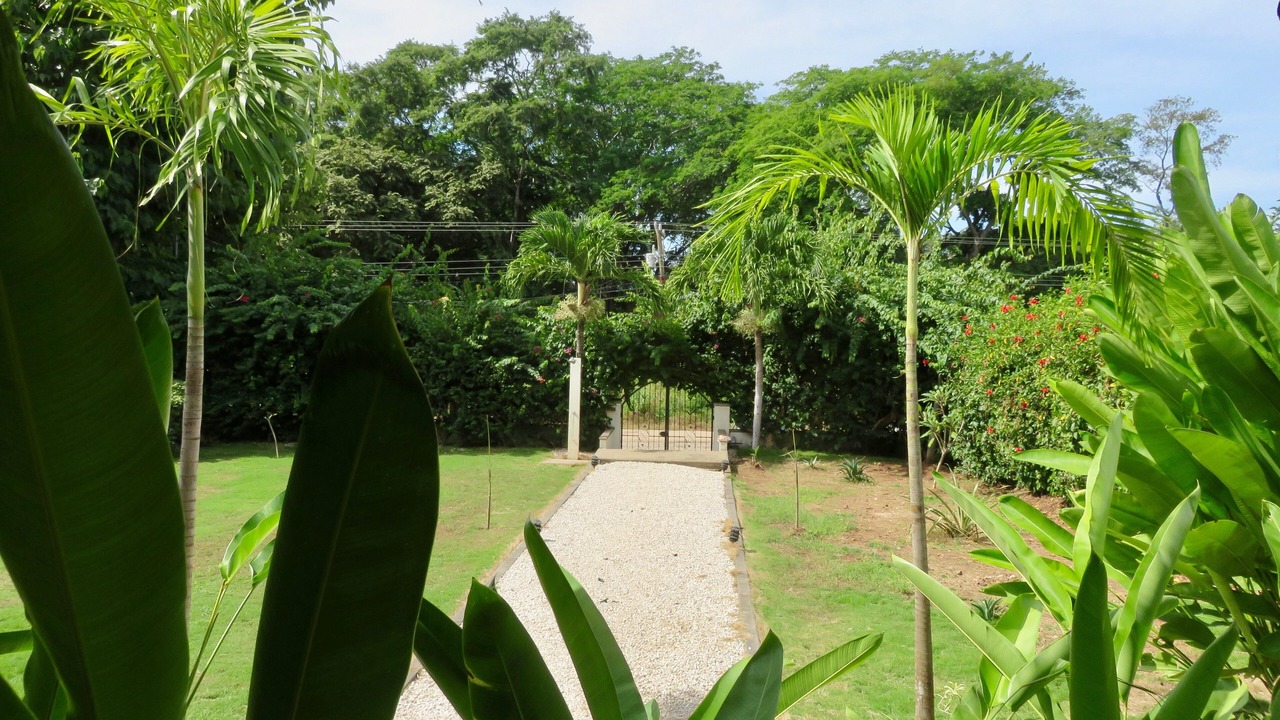 Photo of Outdoor in Playa Grande