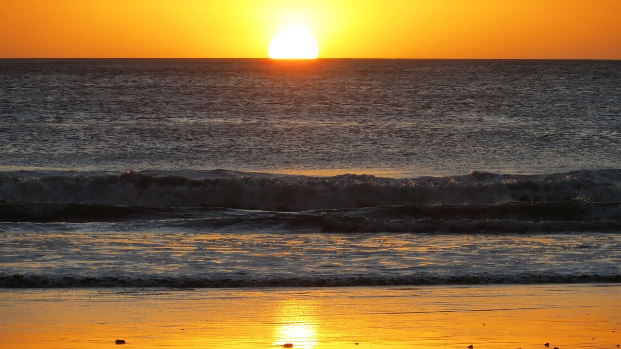 Photo of Others in Playa Grande