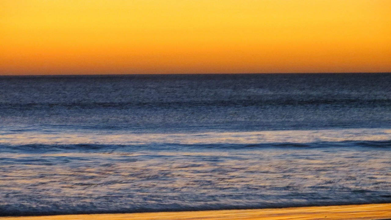 Photo of Others in Playa Grande