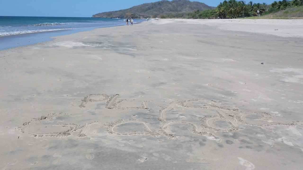 Photo of Others in Playa Grande