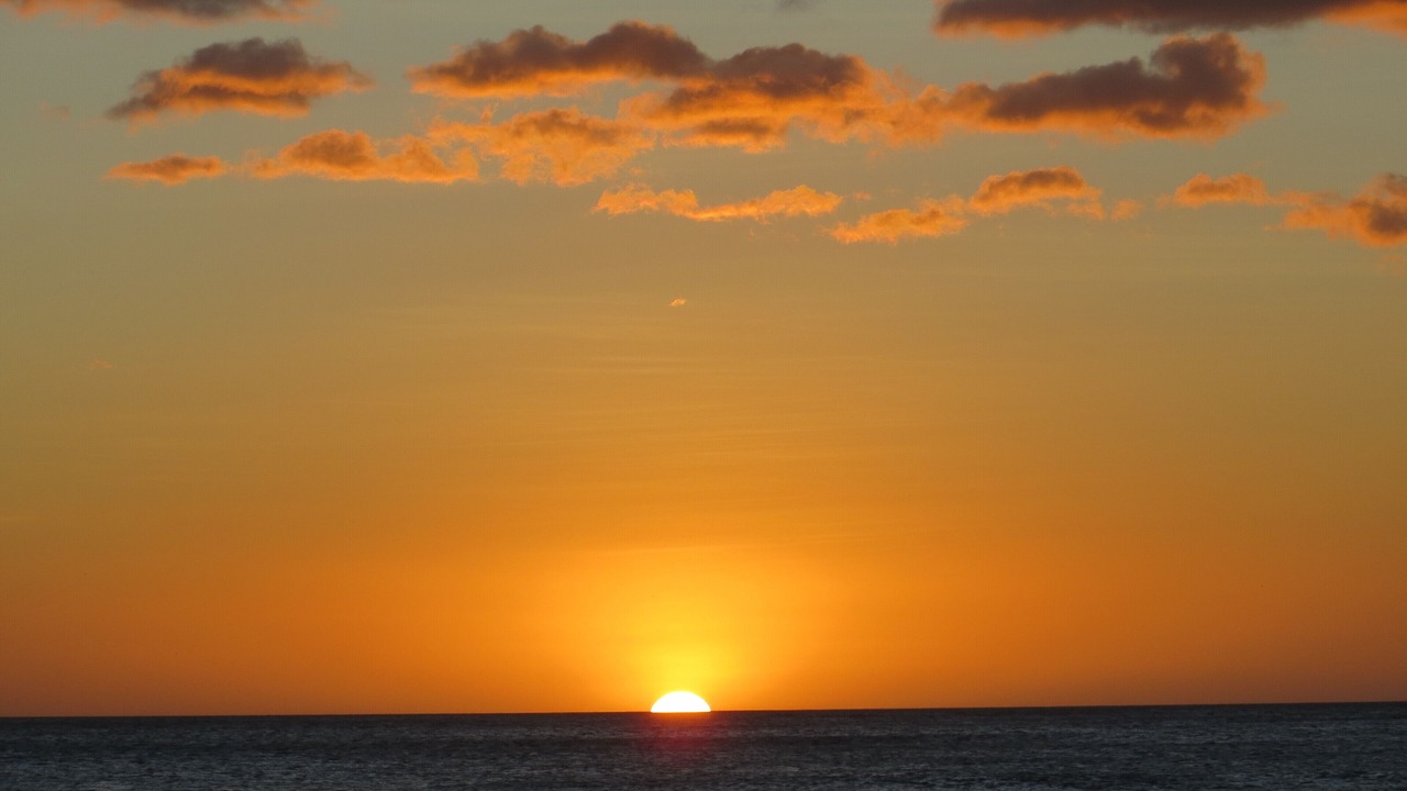 Photo of Others in Playa Grande