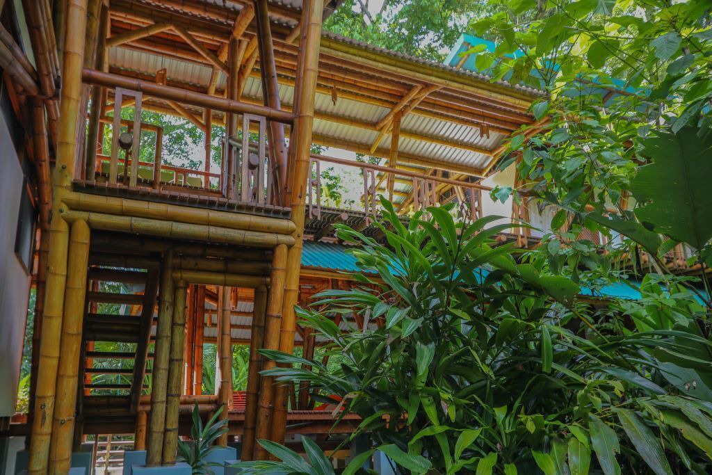 Photo of Outdoor in Puerto Jimenez