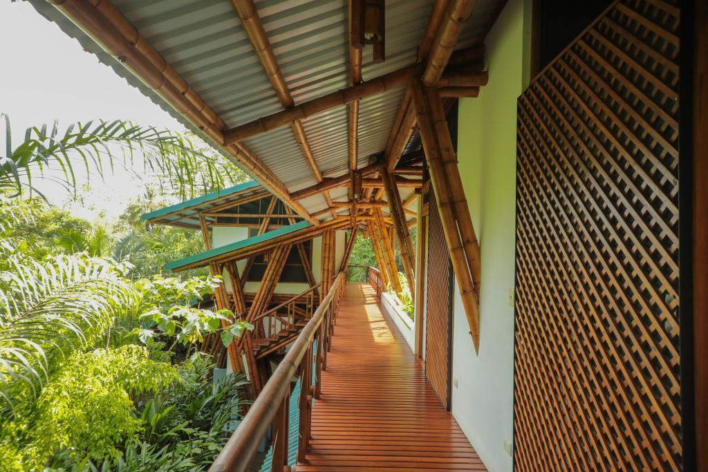 Photo of Outdoor in Puerto Jimenez