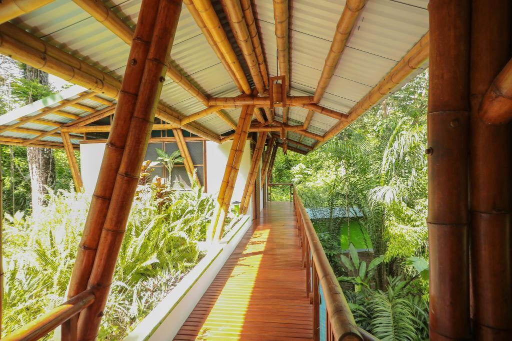 Photo of Outdoor in Puerto Jimenez