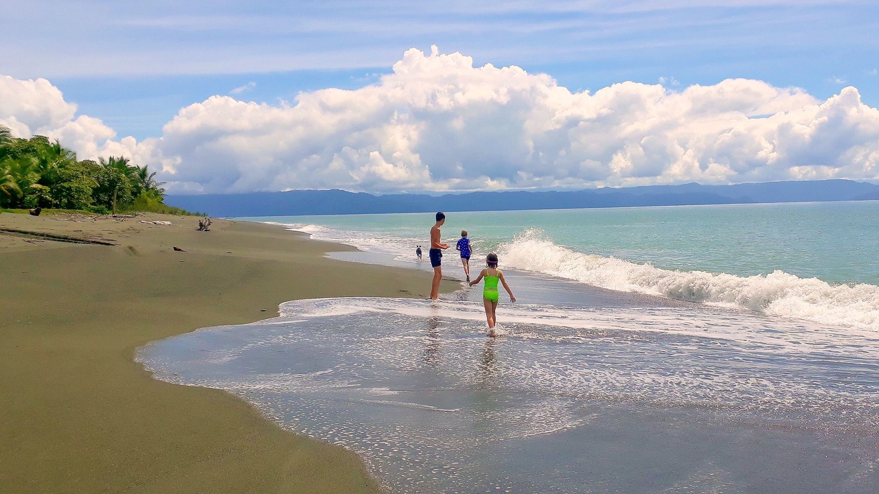 Photo of Others in Puerto Jimenez