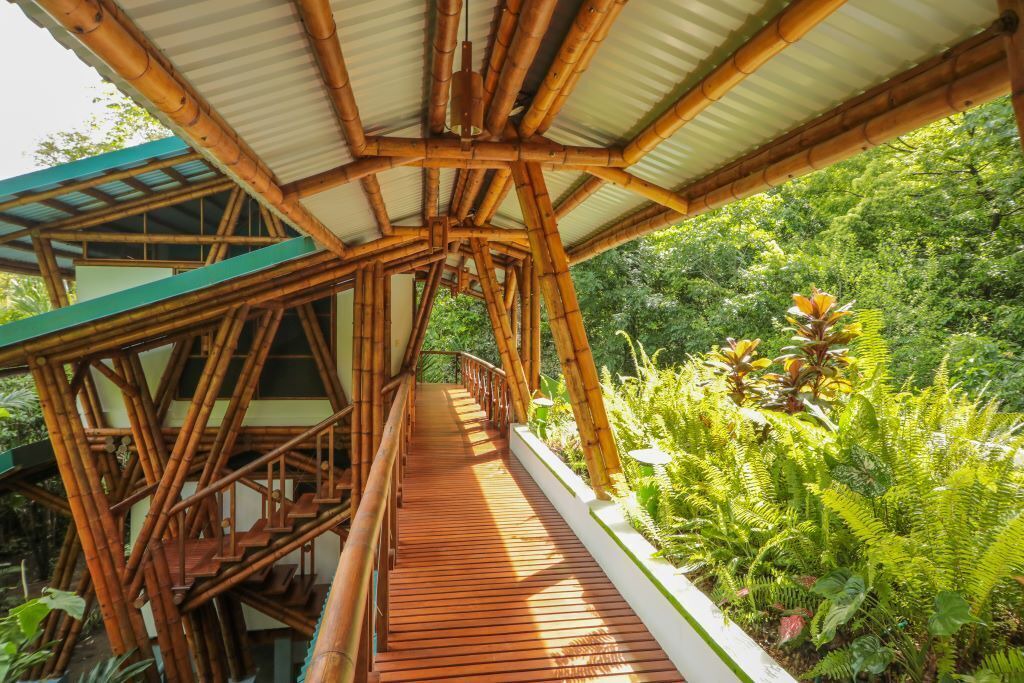 Photo of Outdoor in Puerto Jimenez