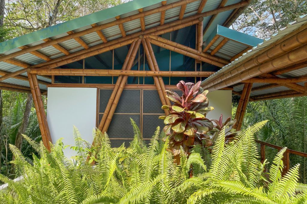 Photo of Outdoor in Puerto Jimenez