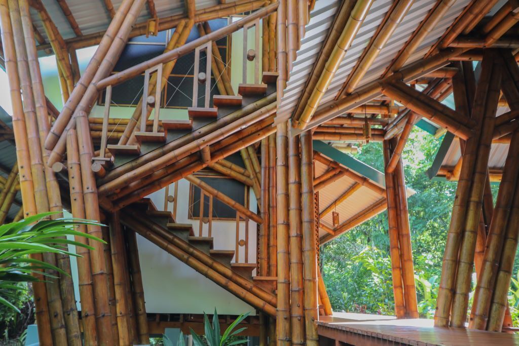 Photo of Outdoor in Puerto Jimenez