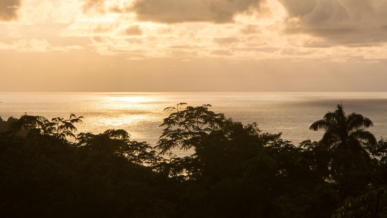 Photo of Others in Manuel Antonio