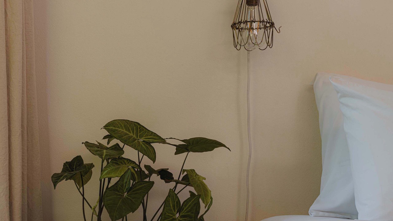 Photo of Bedroom in Nosara