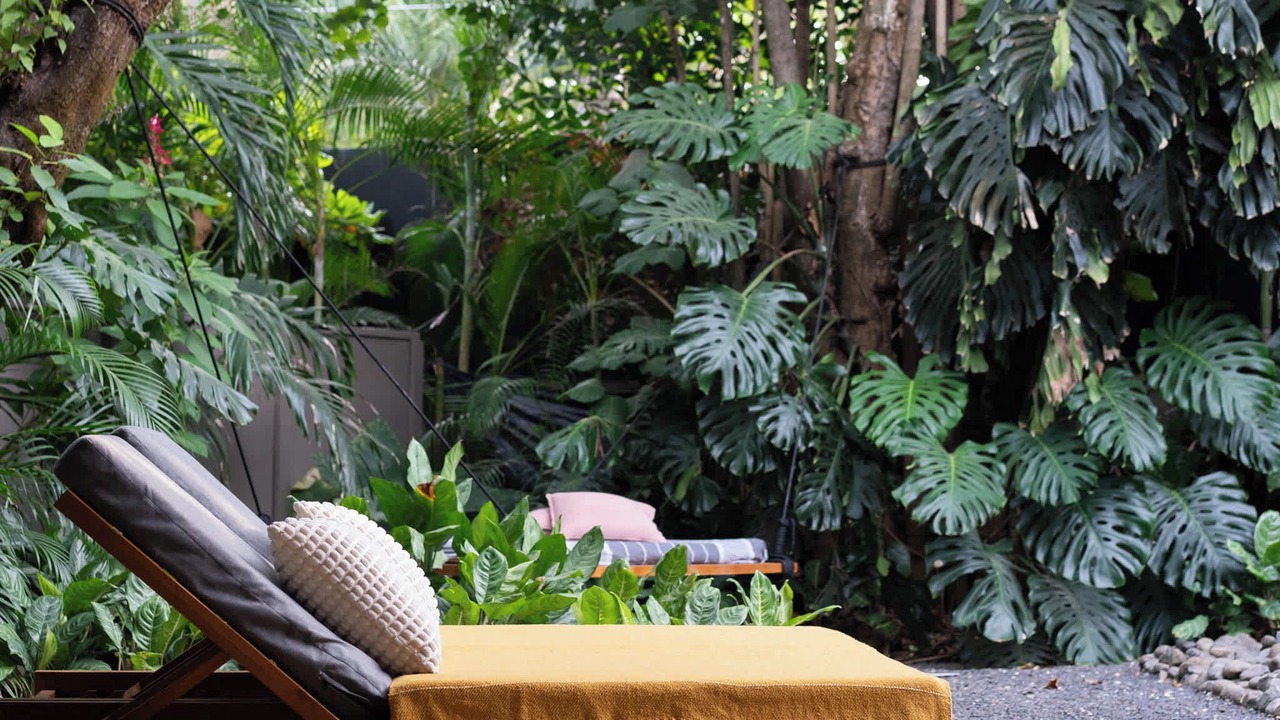 Photo of Outdoor in Nosara