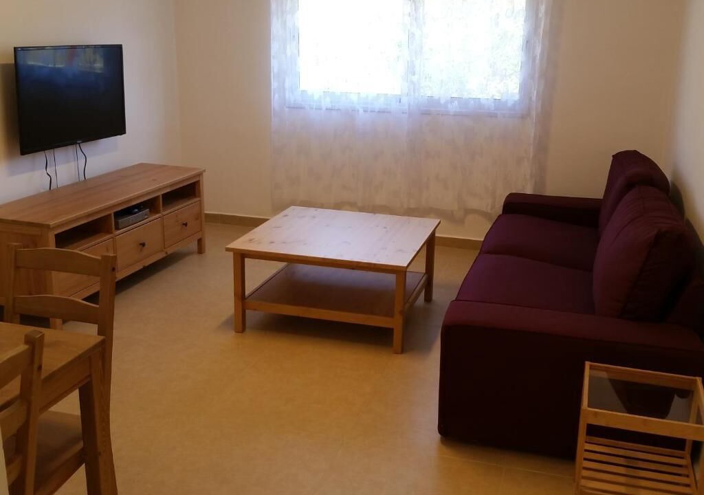 Photo of Livingroom in Dimona