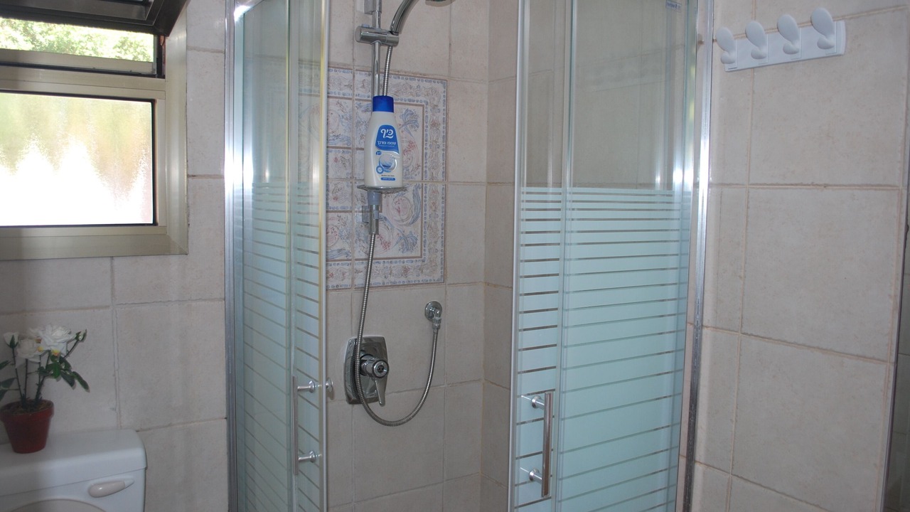 Photo of Bathroom in Megadim