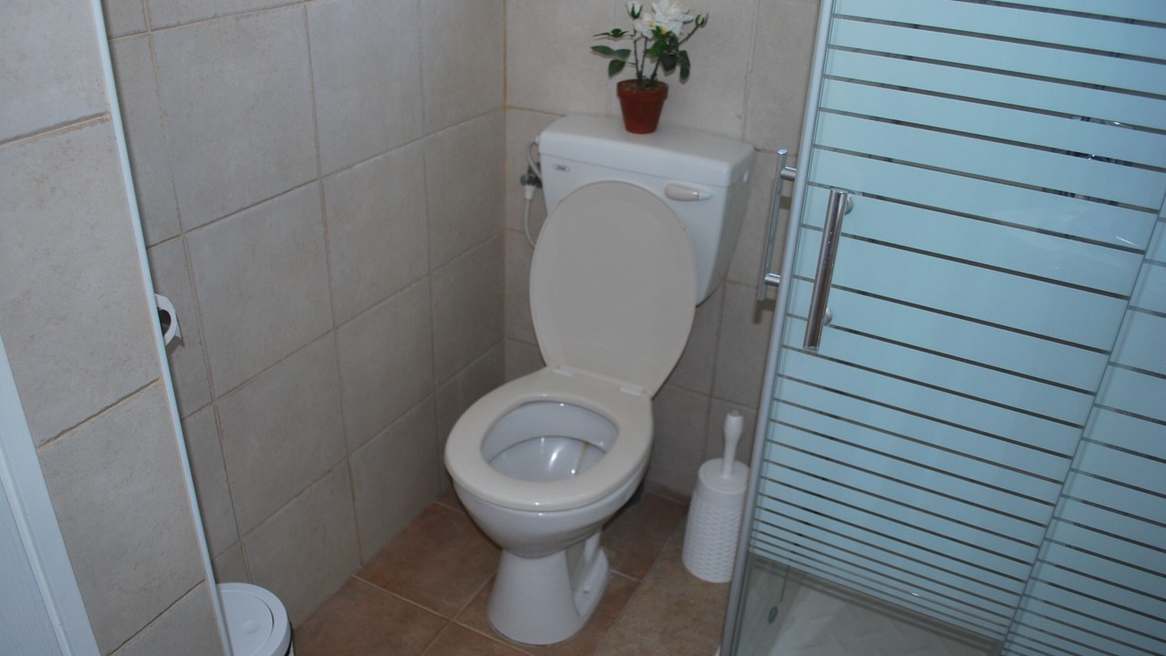 Photo of Bathroom in Megadim