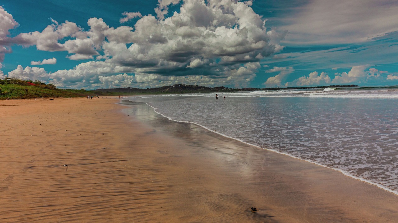 Photo of Others in Playa Grande