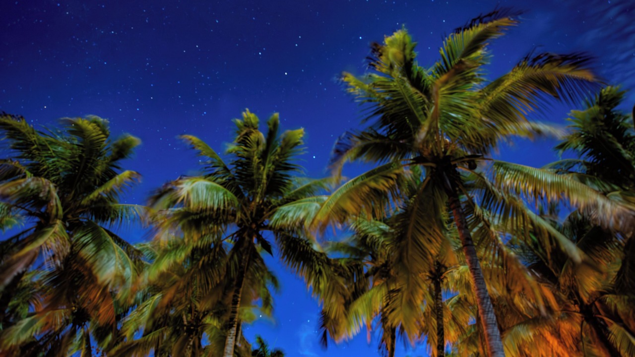 Photo of Others in Playa Grande