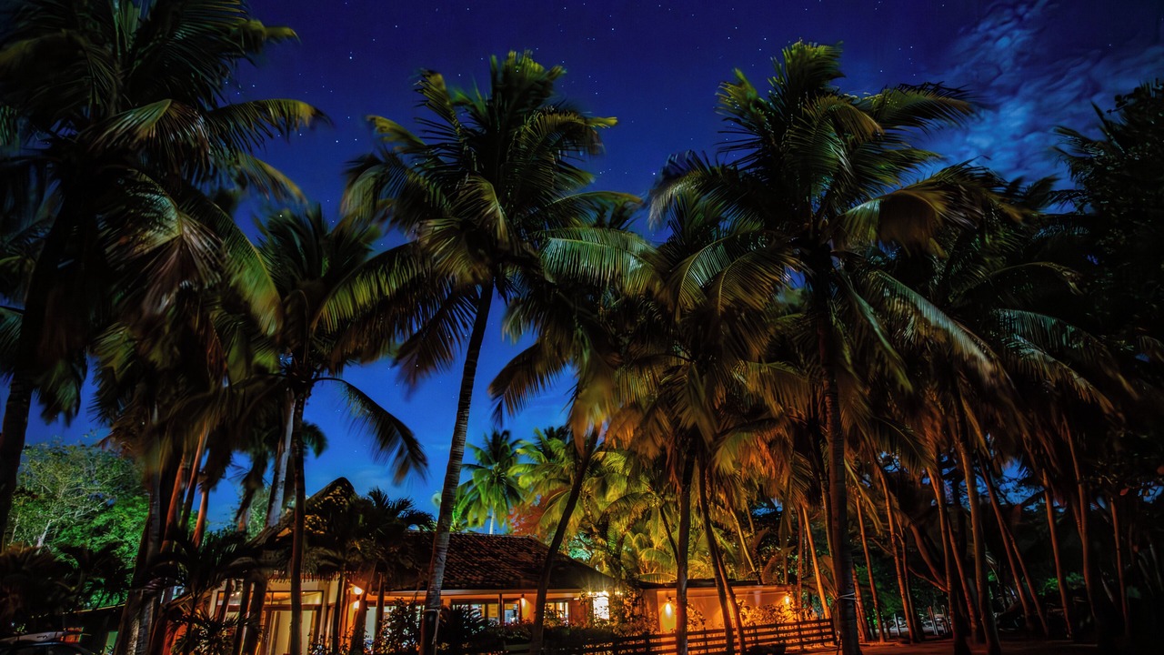 Photo of Others in Playa Grande