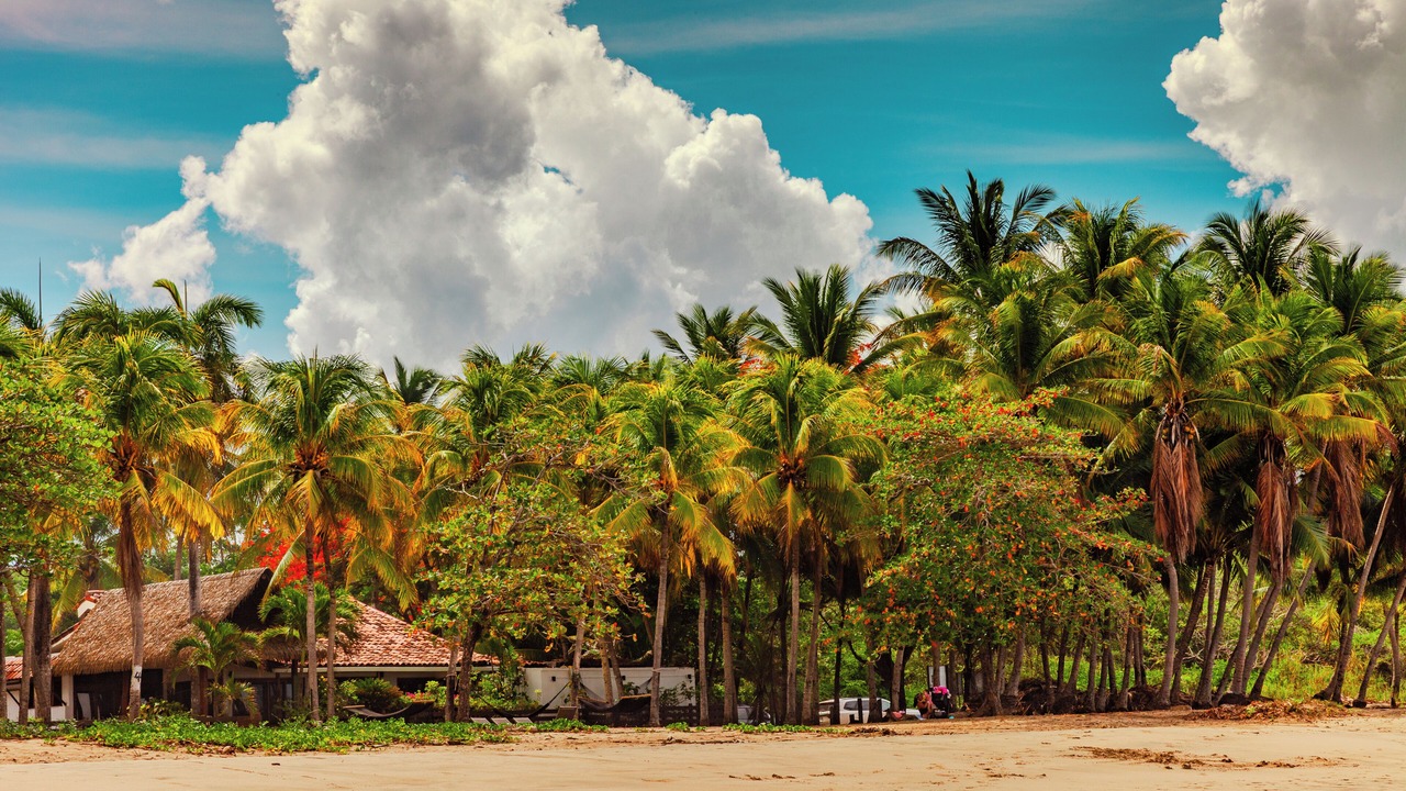 Photo of Others in Playa Grande