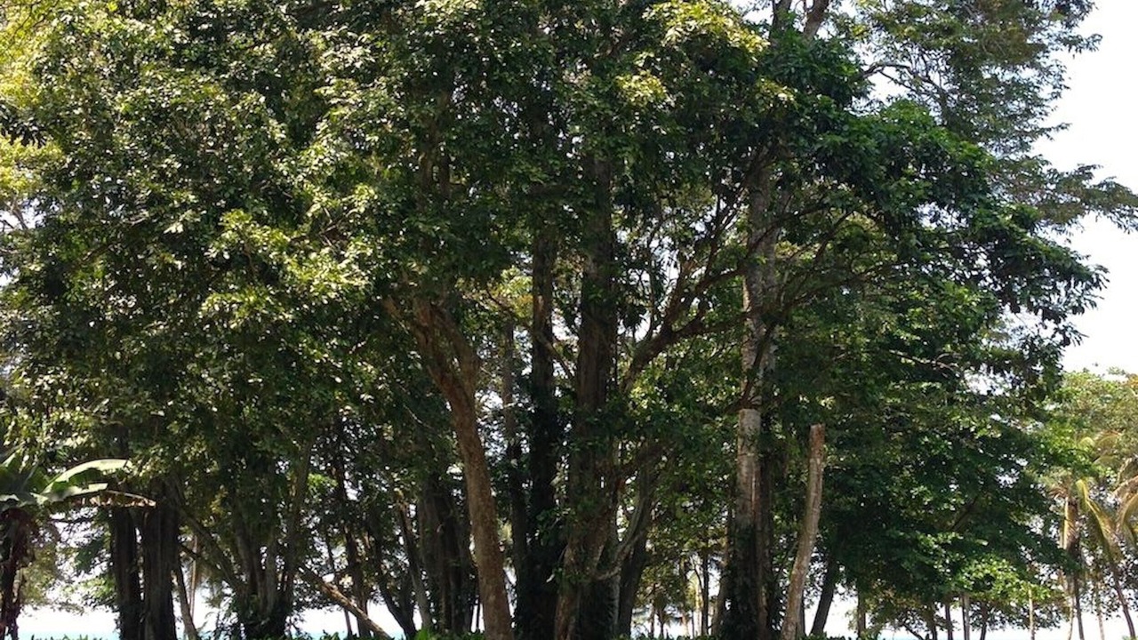 Photo of Others in Chiguata