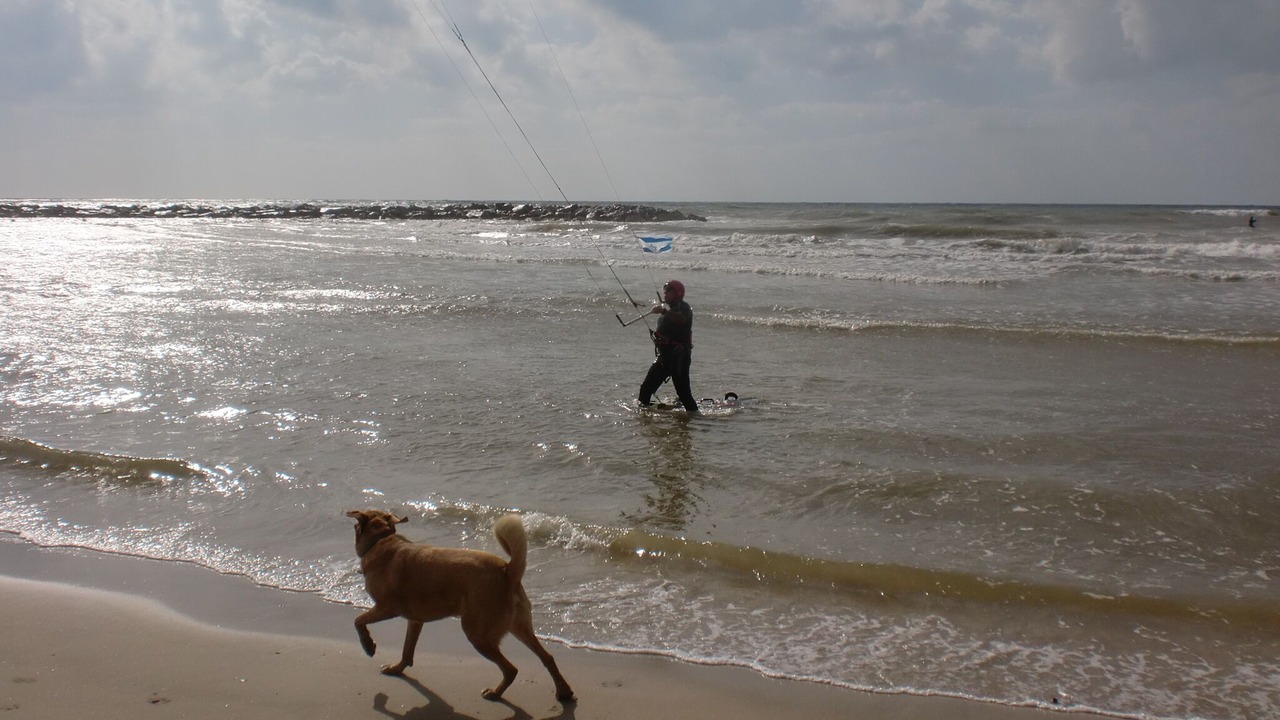 Photo of Others in Netanya