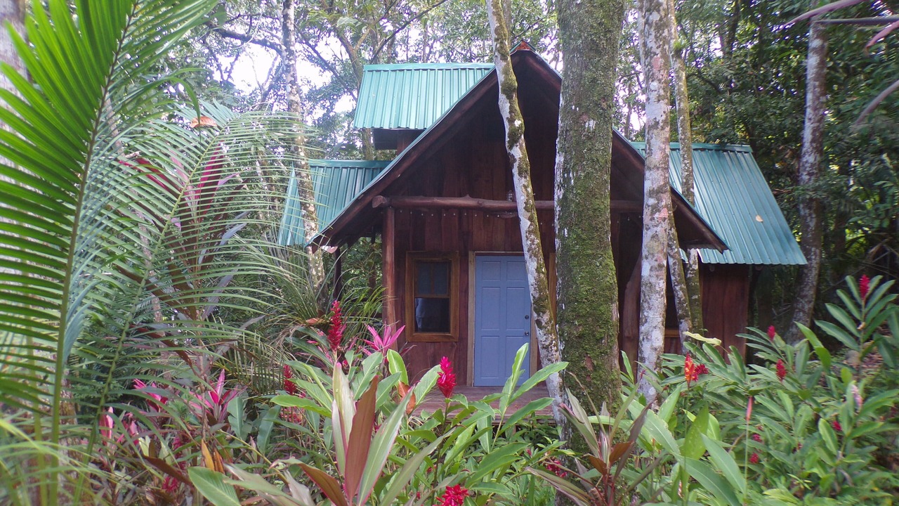 Photo of Others in Uvita