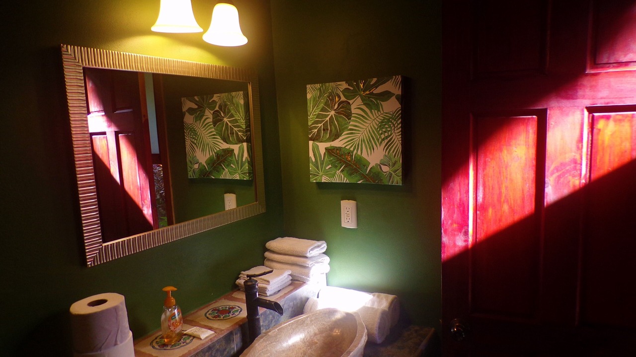 Photo of Bathroom in Uvita