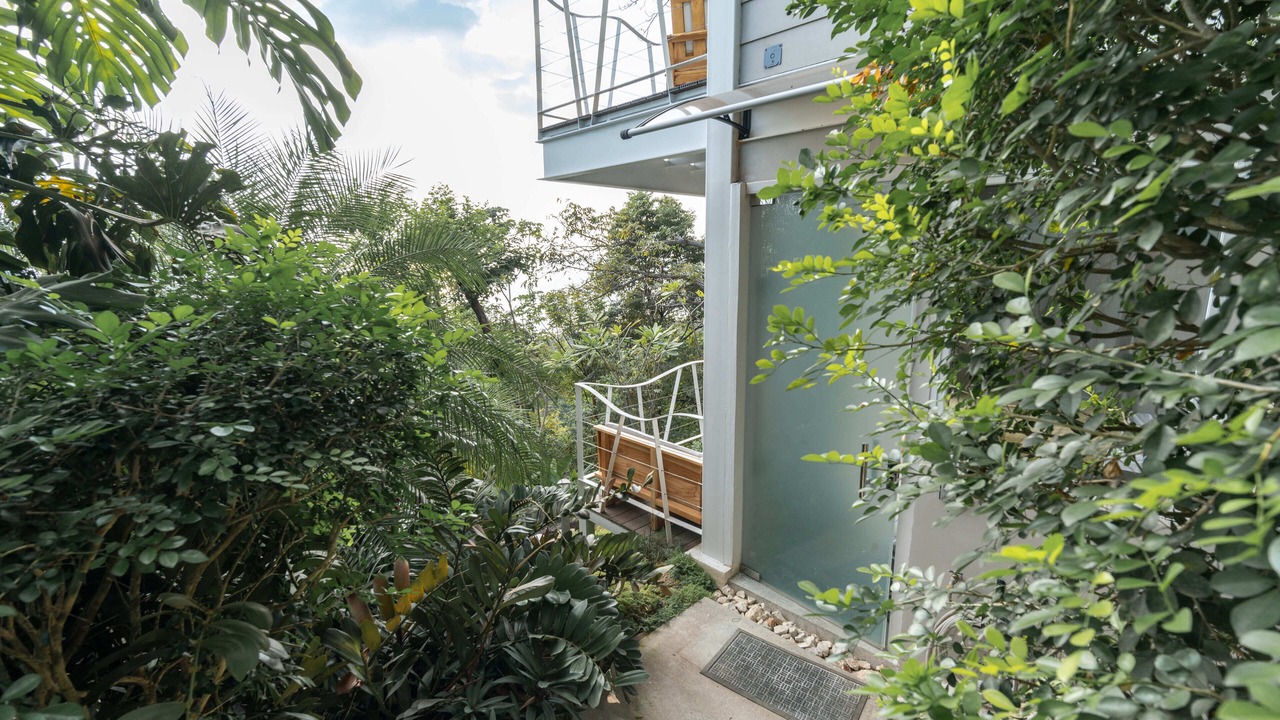 Photo of Outdoor in Playa Santa Teresa