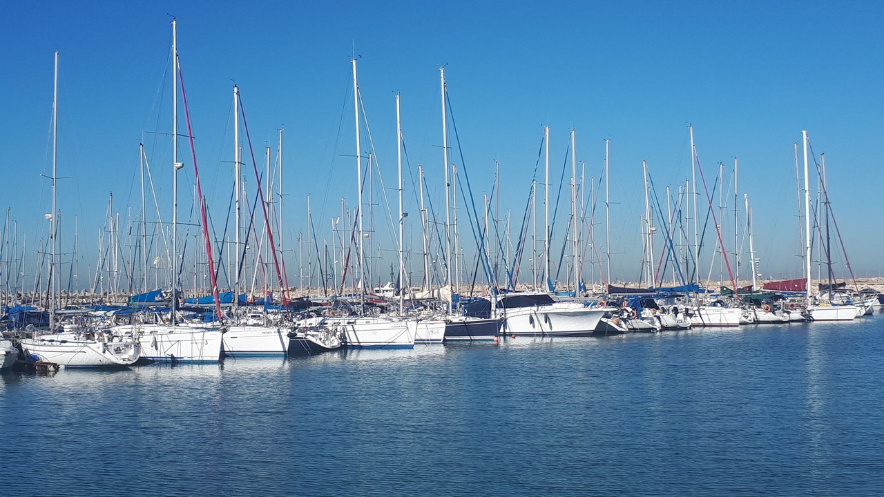 Photo of Others in Ashdod