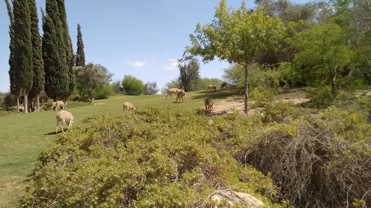 Photo of Others in Midreshet Ben-Gurion