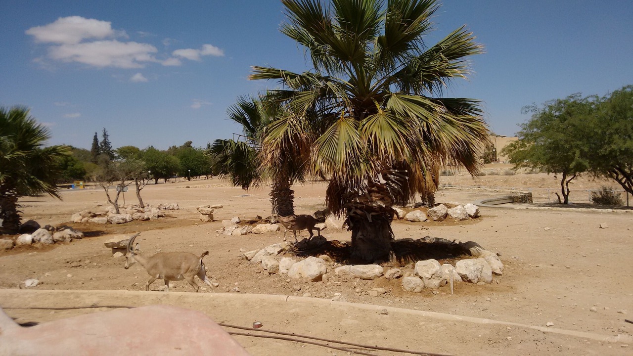 Photo of Others in Midreshet Ben-Gurion