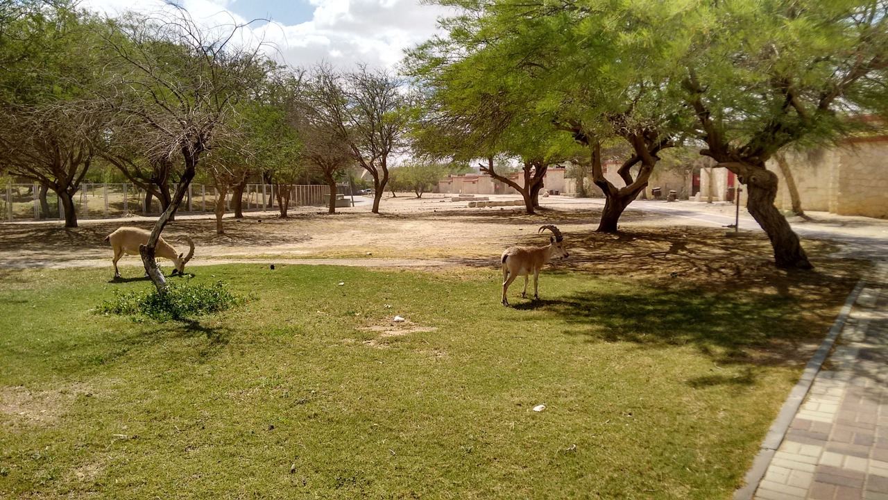Photo of Outdoor in Midreshet Ben-Gurion