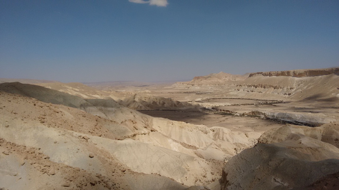 Photo of Others in Midreshet Ben-Gurion
