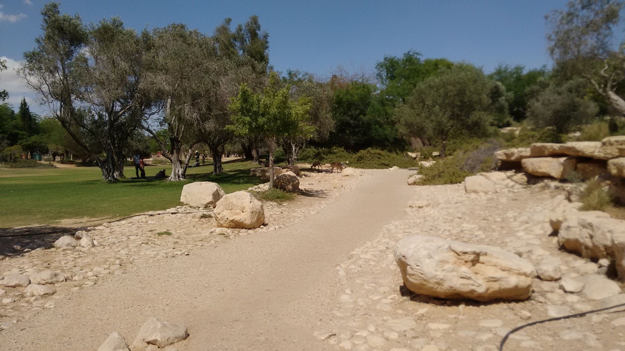 Photo of Outdoor in Midreshet Ben-Gurion