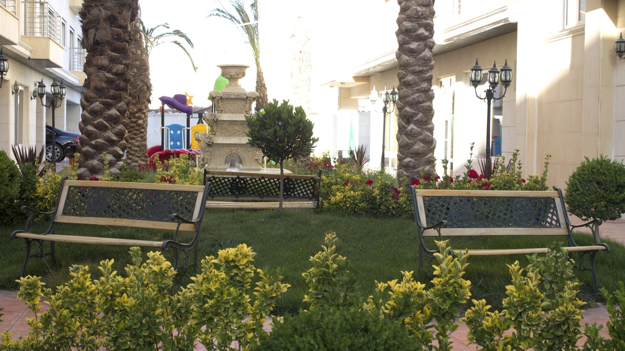 Photo of Outdoor in Amman