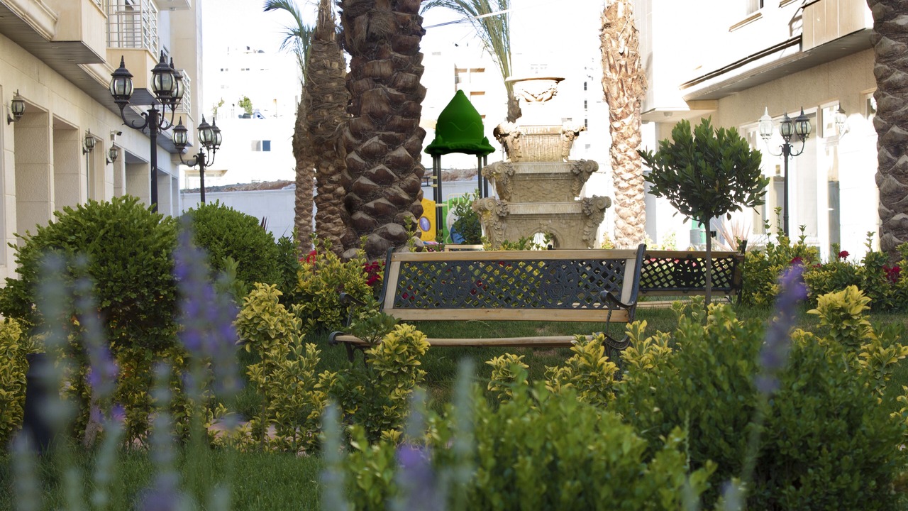 Photo of Outdoor in Amman